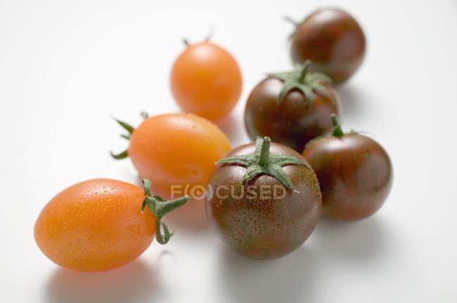 Diferentes tipos de tomates — Fotografia de Stock