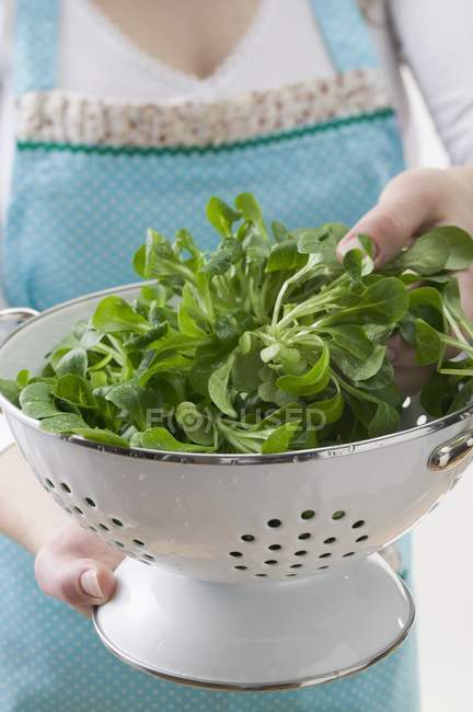 Woman holding colander with corn salad — Stock Photo