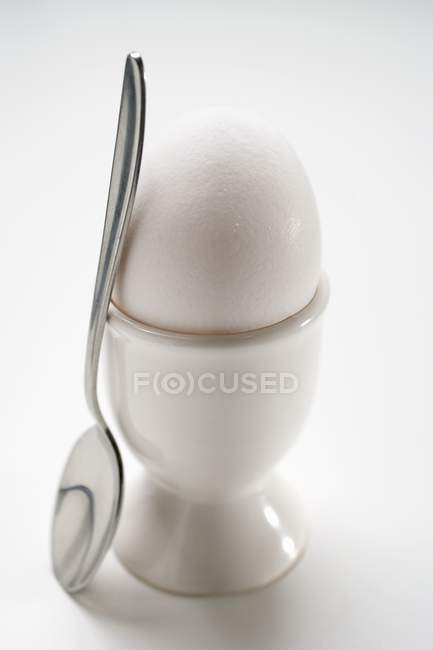 Яйце круто білий в яйце Кубок — стокове фото