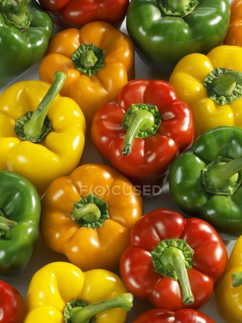 Colorful fresh ripe peppers — Stock Photo