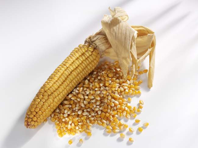 Mazorca de maíz y granos de maíz - foto de stock