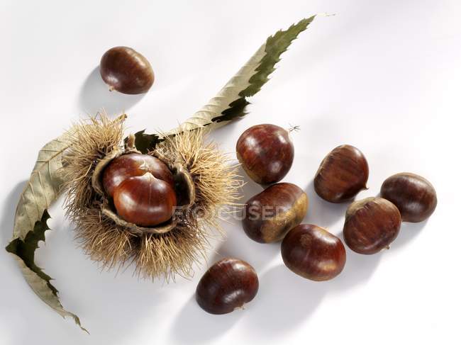 Sweet chestnuts, close-up — Stock Photo
