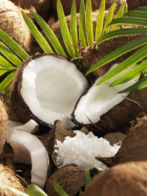 Whole and opened coconuts — Stock Photo