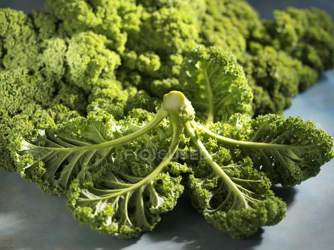 Fresh organic green kale — Stock Photo