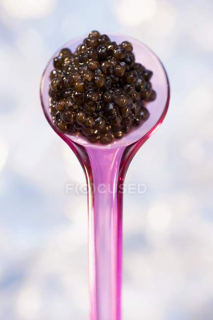 Caviar beluga sobre cuchara de plástico rosa - foto de stock
