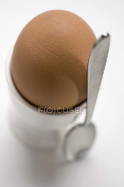 Вареное коричневое яйцо в яичной чашке — стоковое фото