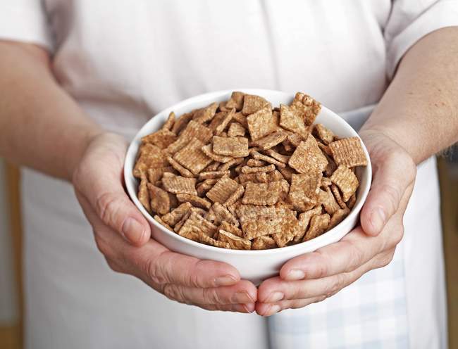 Closeup view of hands holding a bowl of cinnamon flavoured breakfast cereal — Stock Photo