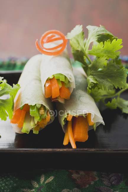 Вьетнамские рулоны рисовой бумаги — стоковое фото