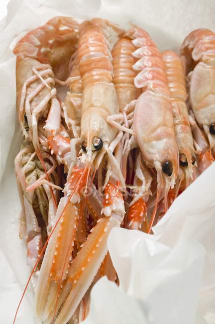Closeup view of red cooked crayfish heap on paper — Stock Photo