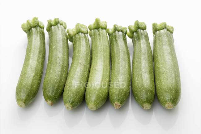 Fresh Baby courgettes — Stock Photo