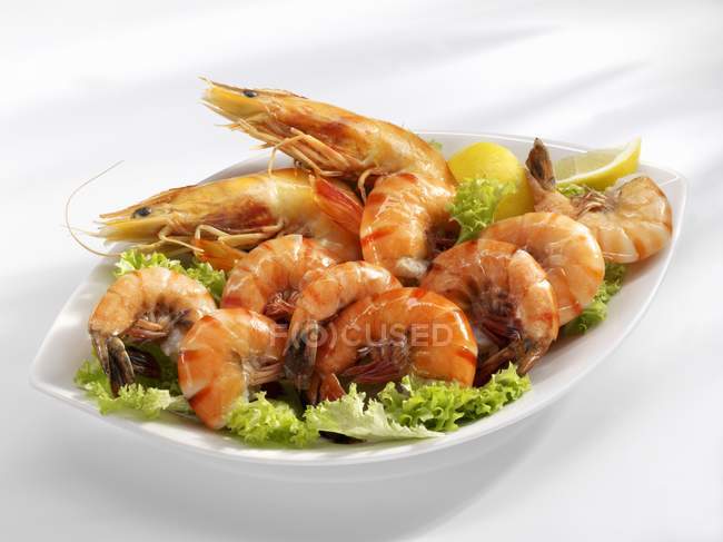 Shrimps with lettuce garnish — Stock Photo