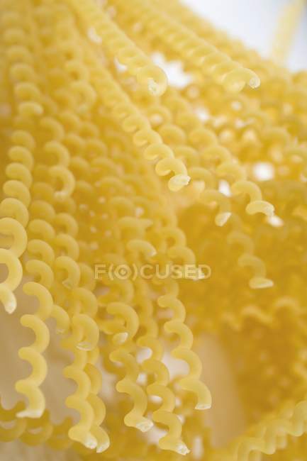 Pastas secas de Fusilli lunghi - foto de stock