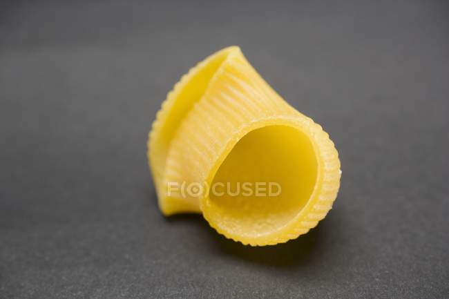 Cáscara de pasta Lumaconi individual - foto de stock