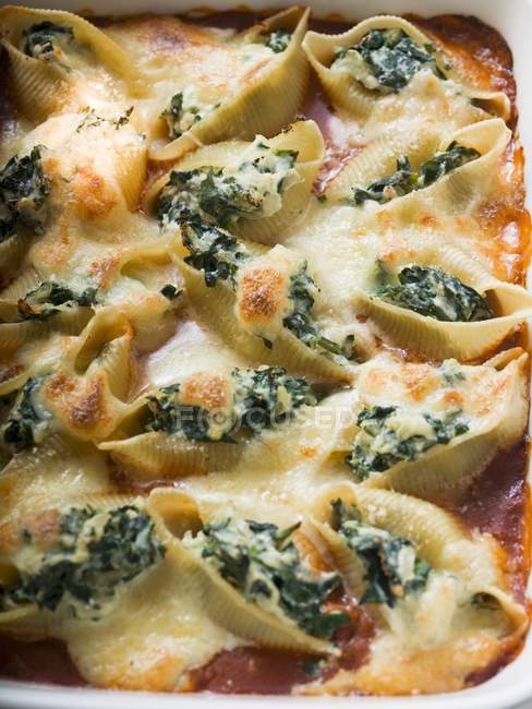 Pasta shells with spinach and mozzarella — Stock Photo
