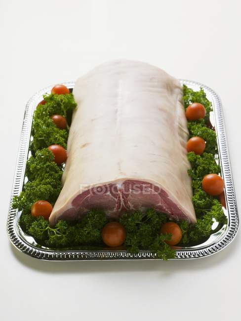 Седло кормящей свиньи — стоковое фото