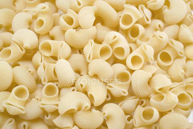 Piezas secas de pasta Lumaconi - foto de stock