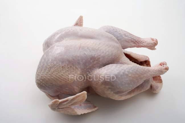 Whole fresh turkey — Stock Photo