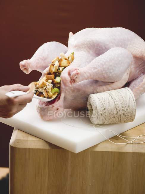 Female hand Stuffing turkey — Stock Photo