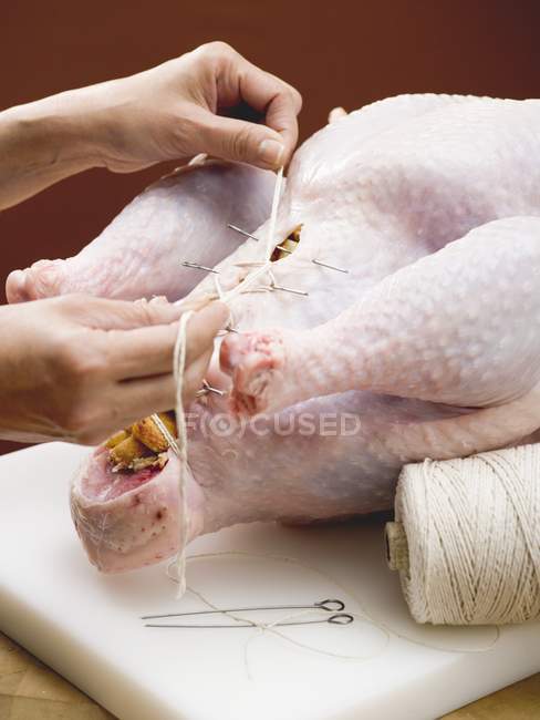 Female hands Closing up stuffed turkey — Stock Photo