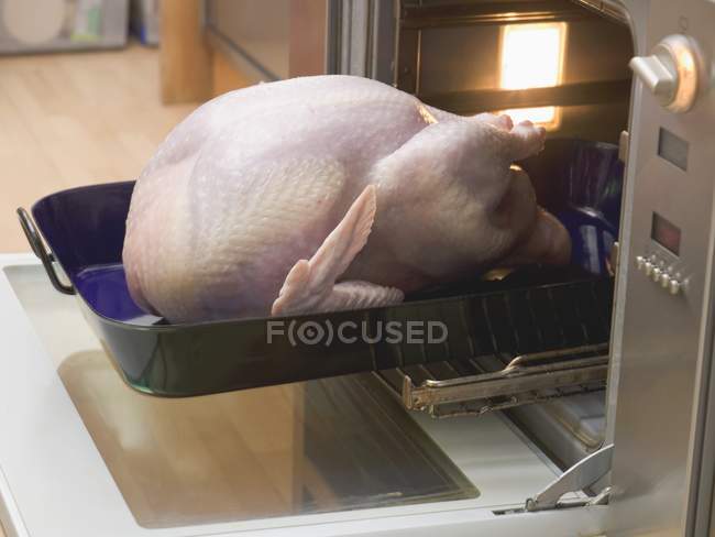 Putting stuffed turkey into the oven — Stock Photo