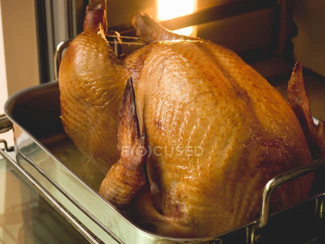 Stuffed roast turkey — Stock Photo