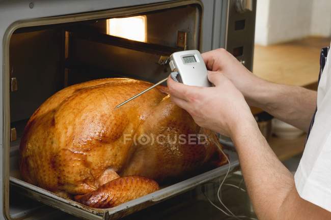 Человек проверяет индейку в духовке с мясным термометром — стоковое фото