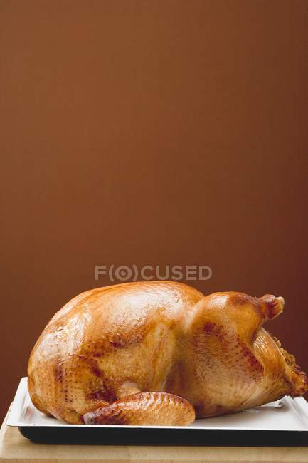 Stuffed roast turkey — Stock Photo
