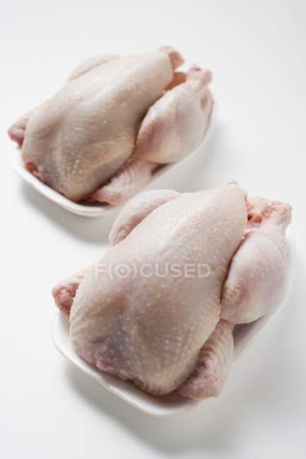 Свежие курицы на подносах из полистирола — стоковое фото