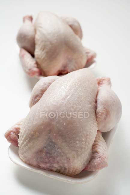 Pollos frescos en bandejas de poliestireno - foto de stock