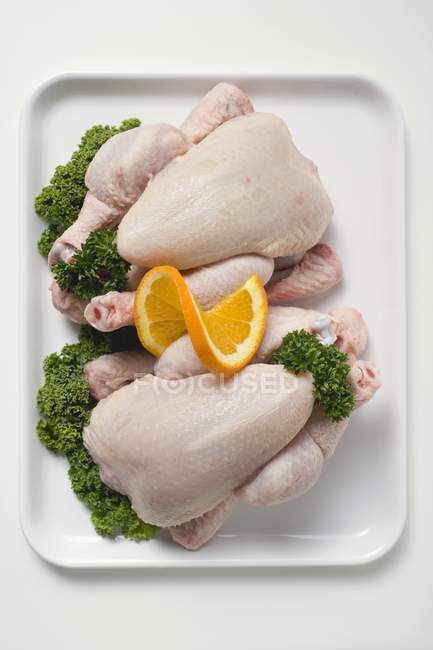 Fresh chickens garnished with parsley — Stock Photo