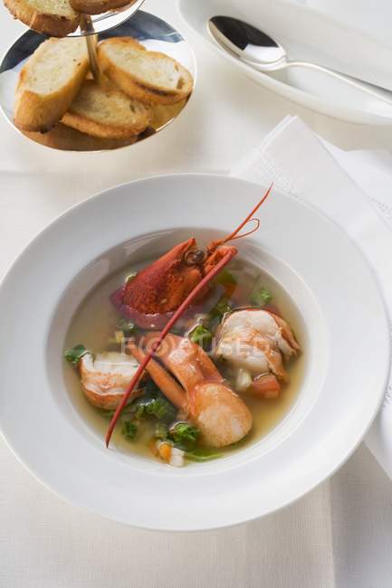 Vista elevada da sopa de lagosta e pão torrado — Fotografia de Stock