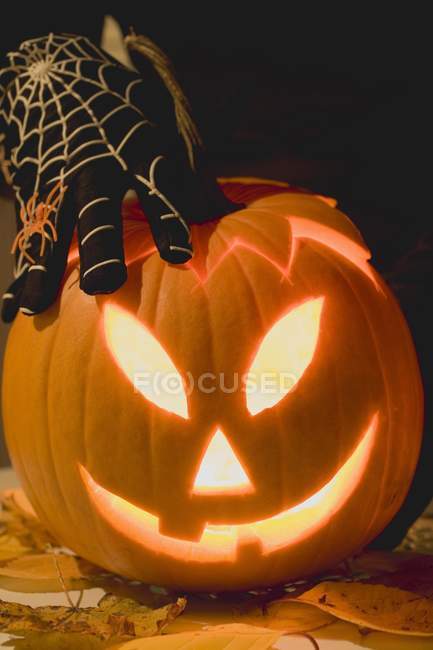 Hand in cobweb glove holding pumpkin — Stock Photo