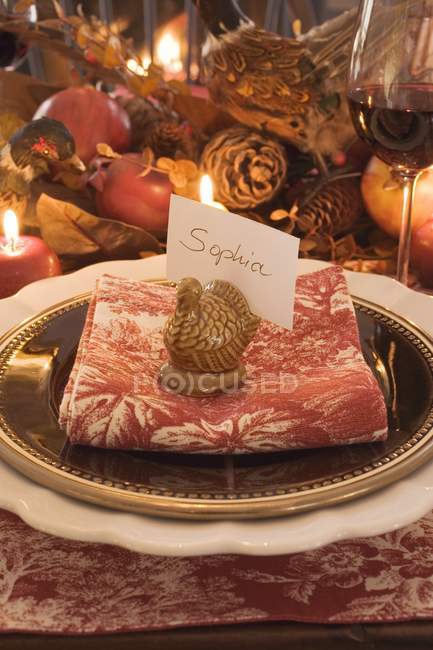 Festive decorated place setting with Sophia tag for Thanksgiving — Stock Photo
