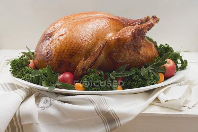 Whole roast turkey — Stock Photo