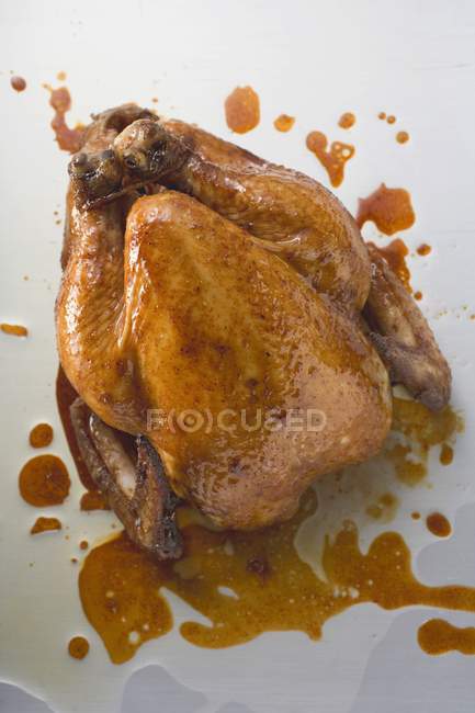 Whole Roasted chicken — Stock Photo