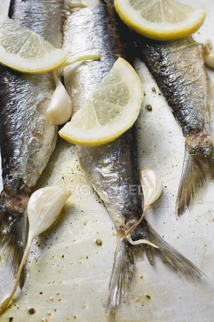 Sardine marinate con aglio e limone — Foto stock