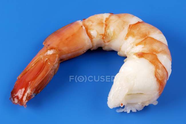 Closeup view of cooked king prawn tail on blue surface — Stock Photo