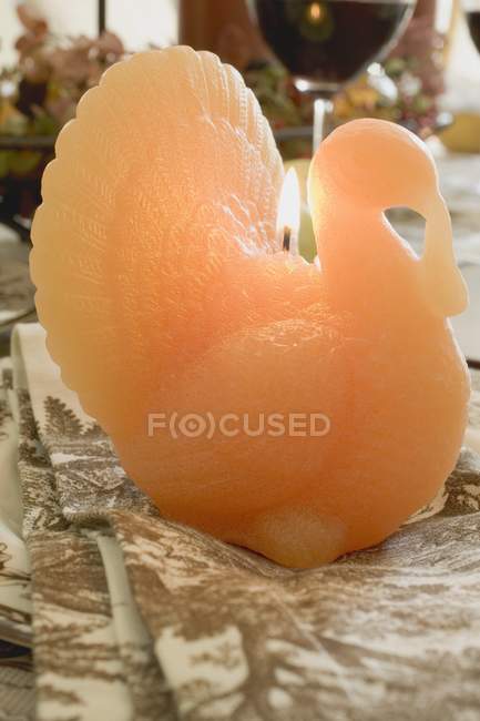 Closeup view of lit turkey candle for Thanksgiving — Stock Photo