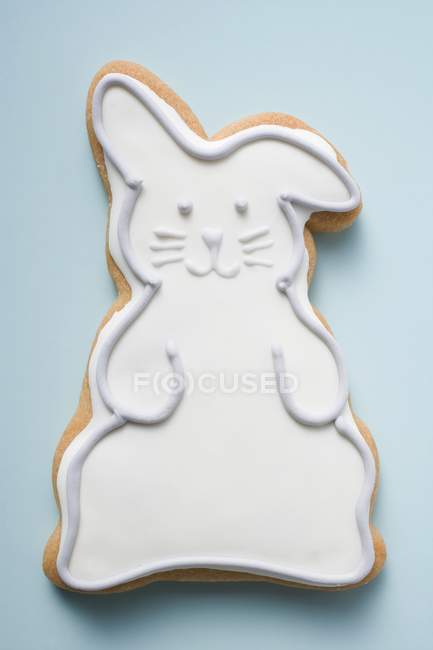 Печенье в виде пасхального кролика — стоковое фото