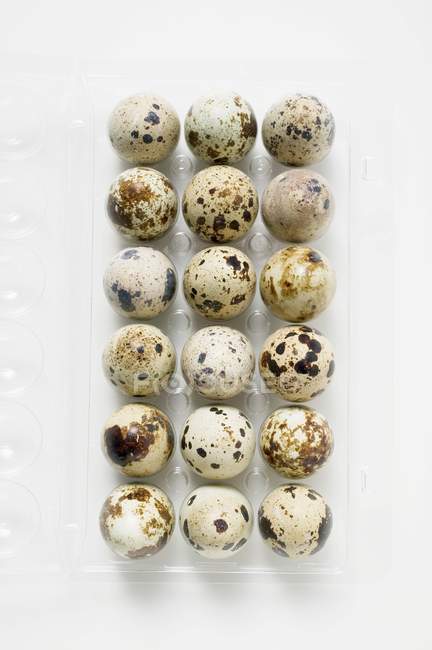 Diverse uova di quaglia — Foto stock