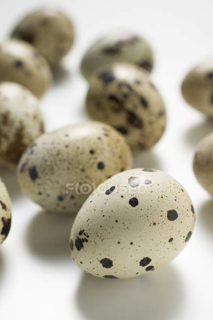 Several quails eggs — Stock Photo