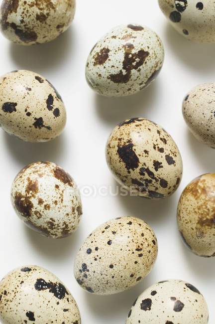 Varios huevos de codorniz - foto de stock