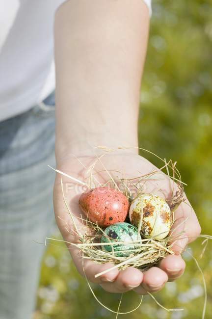 Перепелиные яйца на сене — стоковое фото