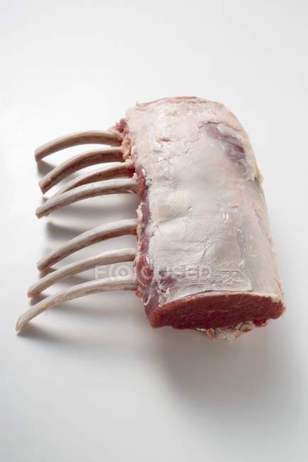 Raw Rack of lamb — Stock Photo