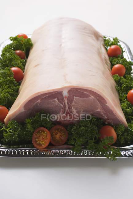 Sela de porco em aleitamento — Fotografia de Stock