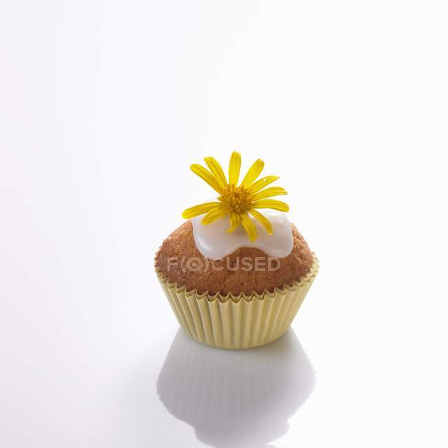 Мини-кекс с желтой маргариткой — стоковое фото