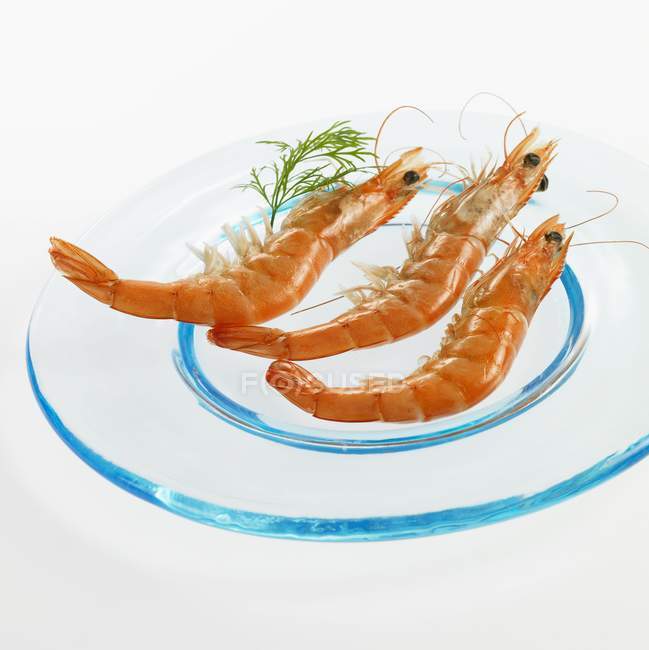 Три креветки на стеклянной тарелке — стоковое фото