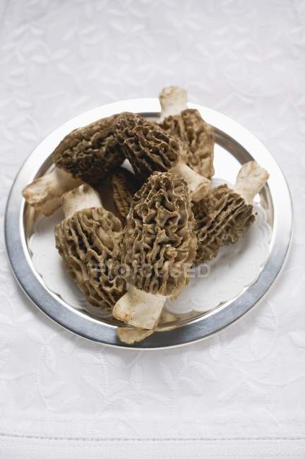 Several morels on silver plate — Stock Photo