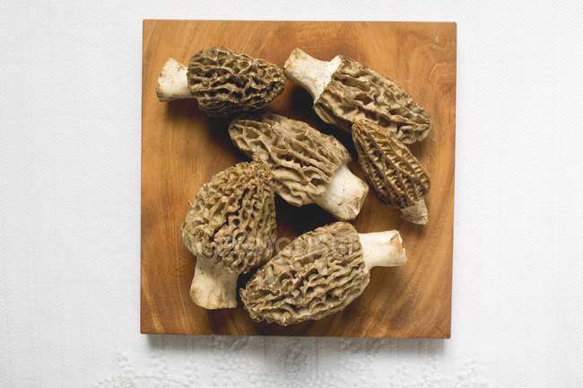Several morels on wooden board — Stock Photo