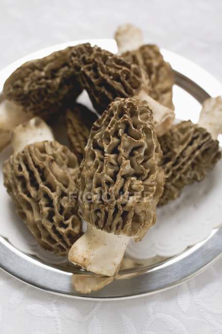 Several morels on silver plate — Stock Photo